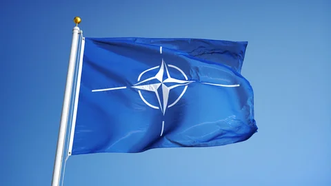 Madrid NATO Strategic Concept: Qualitative Change or Semantic Healing?