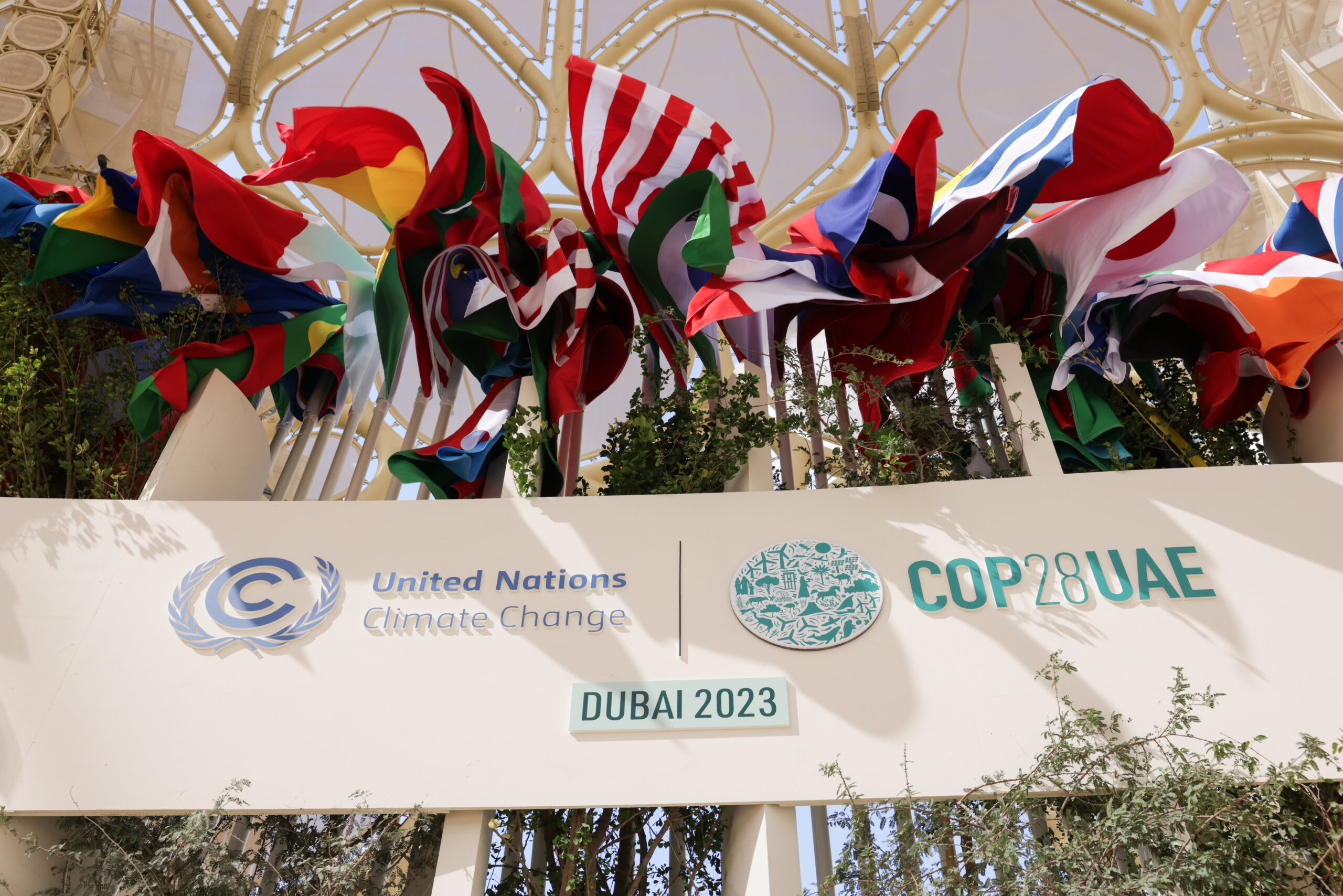 The UN climate summit in Dubai: Global warming and decarbonisation among controversies