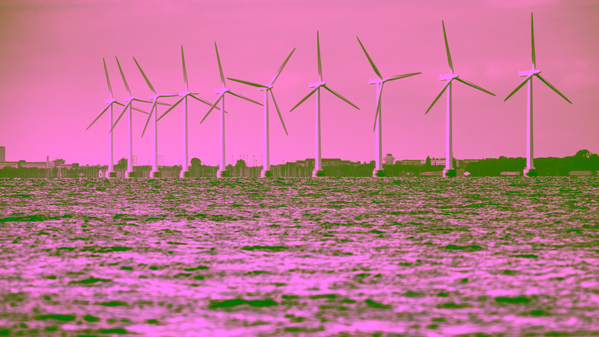 Baltic Resilience Initiative (4)